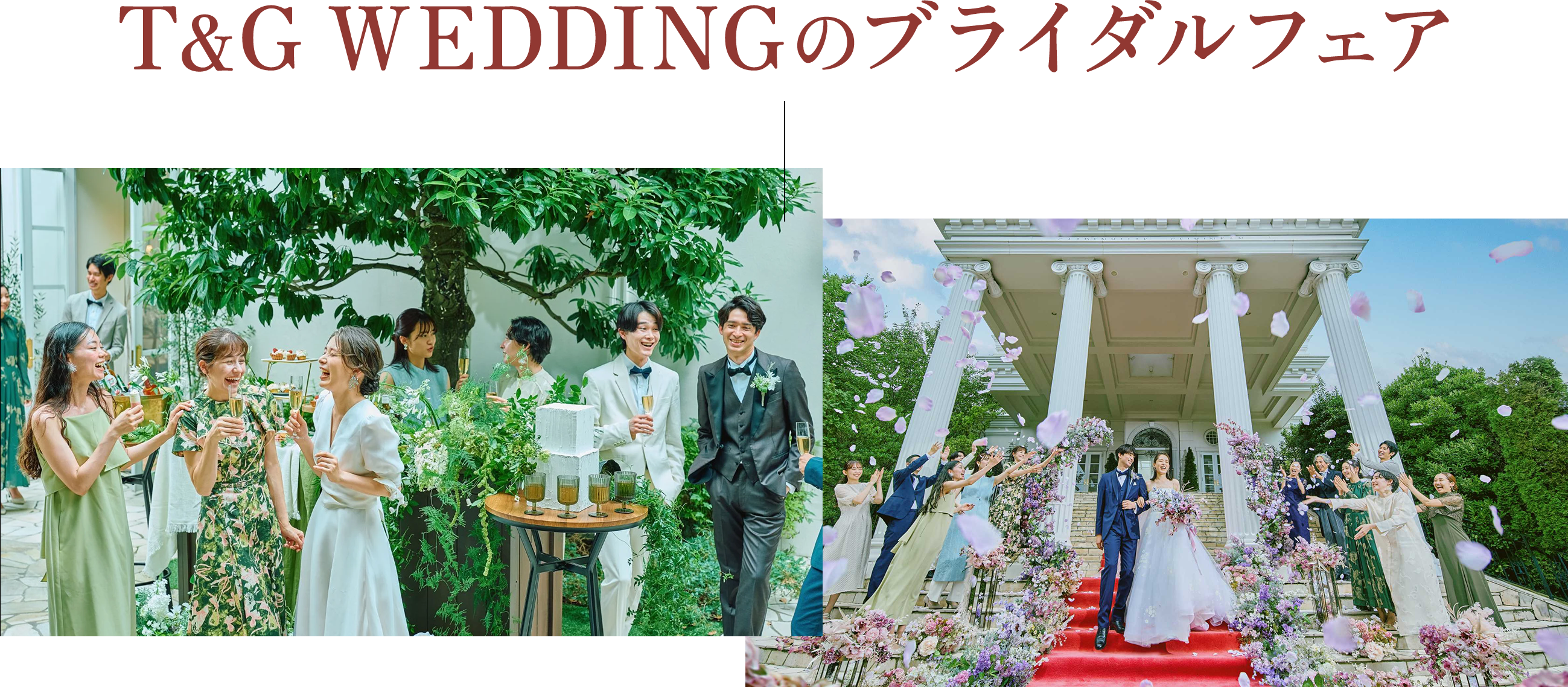 T&G WEDDINGのブライダルフェア