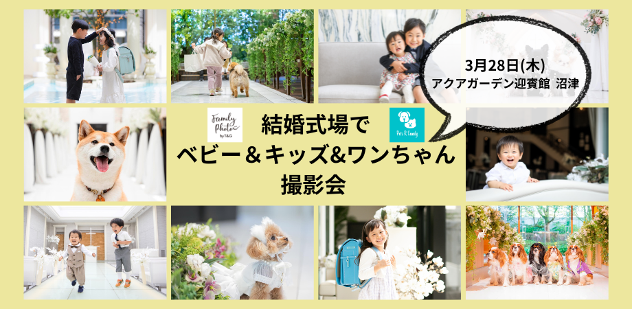 3月28日(木)【沼津】結婚式場でプロカメラマンによるベビー＆キッズ＆ワンちゃん撮影会開催！のアイキャッチ