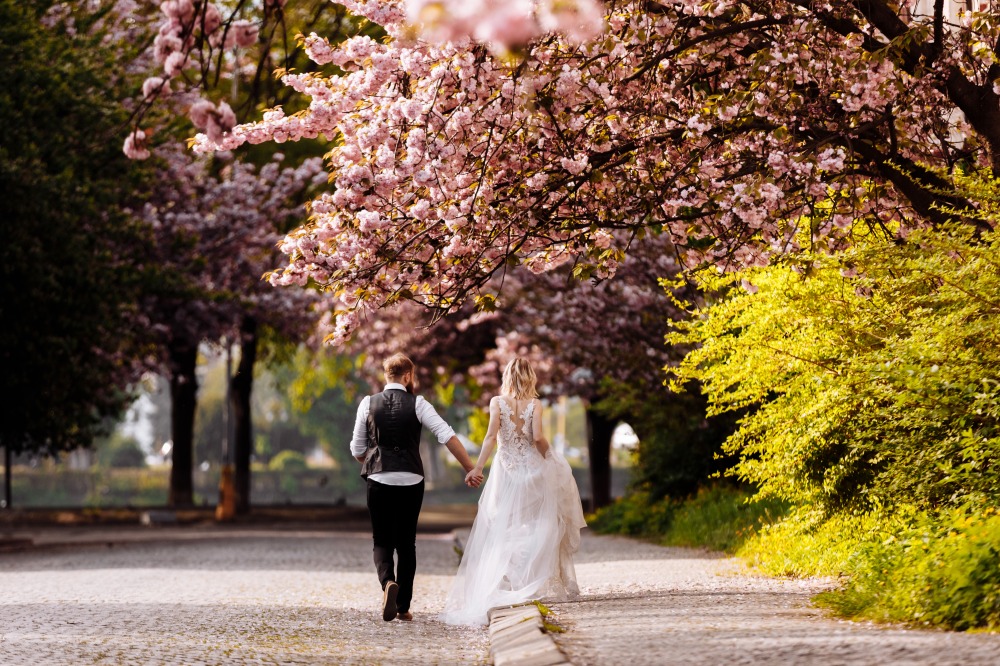 おすすめ！“桜”の前撮りスポット＆先輩花嫁の実例紹介のアイキャッチ
